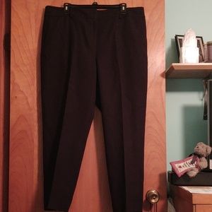 Ann Taylor Factory Ankle Pant Curvey Fit